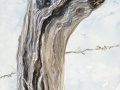 Fence Post 2