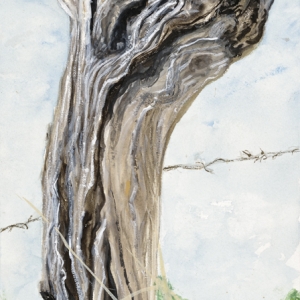 Fence Post 2