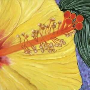 Hibiscus Flower